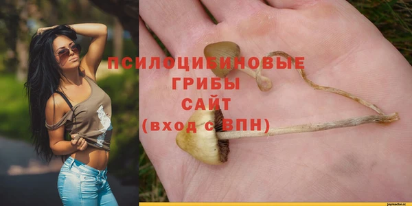 стафф Балабаново