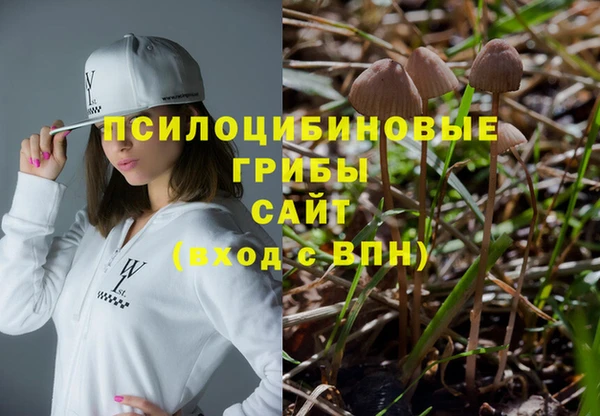 шишки Балахна