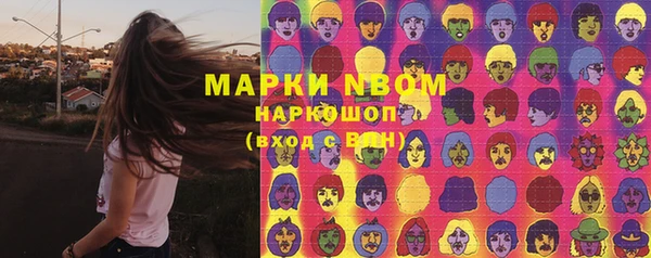 шишки Балахна