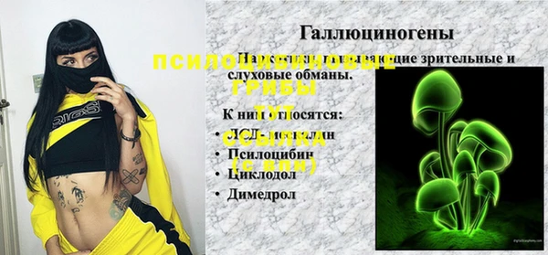шишки Балахна