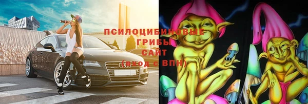 шишки Балахна