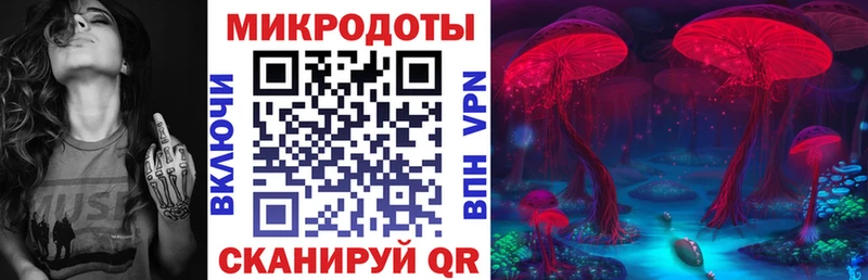 где продают   Сатка  Галлюциногенные грибы Magic Shrooms 